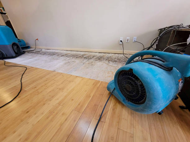 Professional Water Damage Repair technician working in Southlake, TX